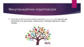 Nevyriausybines organizacijos skaidrės 2 puslapis