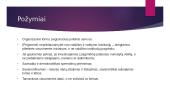 Nevyriausybines organizacijos skaidrės 3 puslapis