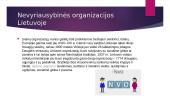 Nevyriausybines organizacijos skaidrės 7 puslapis