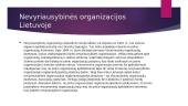 Nevyriausybines organizacijos skaidrės 8 puslapis