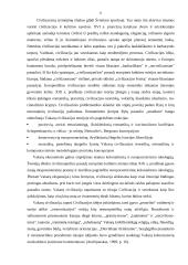 Eurocentrizmas 5 puslapis
