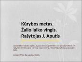 Aputis (skaidrės) 13 puslapis