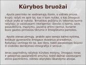 Aputis (skaidrės) 10 puslapis