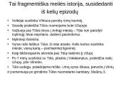 J. Kunčino „Tūla“. Meilės tema. „Tūla“ – tai jausmo ir laiko romanas. 2 puslapis