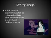 Žmonių populiacijos augimo savireguliacija 3 puslapis