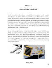 Referatas apie internetinę priklausomybę 5 puslapis