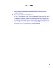 Referatas apie internetinę priklausomybę 8 puslapis