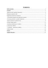 Transporto įmonės ekonominių rodiklių skaičiavimas ir analizė (2)