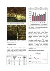 Lazerinio osciliacinio suvirinimo tyrimas 3 puslapis