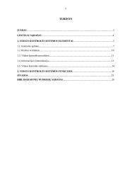 Vidaus kontrolės sistemos sandara 2 puslapis