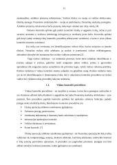 Vidaus kontrolės sistemos sandara 11 puslapis