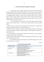 Vidaus kontrolės sistemos sandara 16 puslapis