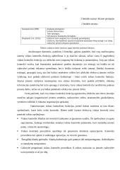 Vidaus kontrolės sistemos sandara 17 puslapis