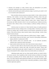 Vidaus kontrolės sistemos sandara 18 puslapis