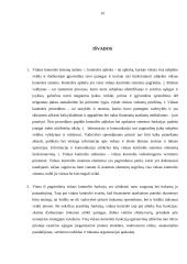 Vidaus kontrolės sistemos sandara 19 puslapis