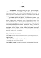 Vidaus kontrolės sistemos sandara 3 puslapis