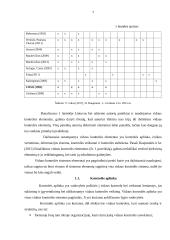 Vidaus kontrolės sistemos sandara 7 puslapis