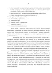 Vidaus kontrolės sistemos sandara 8 puslapis