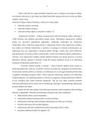 Vidaus kontrolės sistemos sandara 9 puslapis