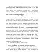 Vidaus kontrolės sistemos sandara 10 puslapis