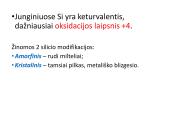 Silicis (Si) 3 puslapis