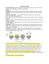 Virškinimo fiziologija