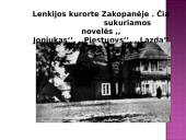 Jono Biliūno kuryba 14 puslapis