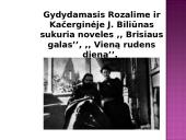 Jono Biliūno kuryba 16 puslapis