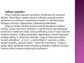 Jono Biliūno kuryba 19 puslapis