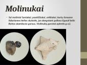 Lietuvių liaudies instrumentai skaidrės 6 puslapis