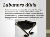 Lietuvių liaudies instrumentai skaidrės 8 puslapis