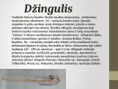 Lietuvių liaudies instrumentai skaidrės 9 puslapis