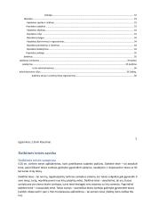 Daiktinės teisės konspektas 3 puslapis