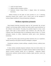 Medinių konstrukcijų stiprinimas 4 puslapis