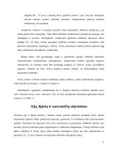 Medinių konstrukcijų stiprinimas 6 puslapis