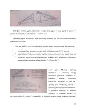 Medinių konstrukcijų stiprinimas 10 puslapis