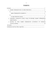 Vienodo atlyginimo vyrams ir moterims už vienodos vertės darbą įgyvendinimo problemos 2 puslapis