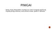 Abiejų Tautų Respublika (ATR) 12 puslapis