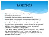 Dažniausiai pasitaikančios ligos žemės ūkio gyvūnams dėl avitaminozės 7 puslapis