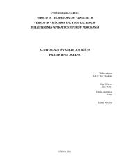 Auditoriaus išvada ir jos rūšys projektinis darbas
