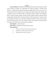 Auditoriaus išvada ir jos rūšys projektinis darbas 3 puslapis