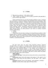 Rinkodara. UAB „Pūkinis avinėlis“ organizacija 3 puslapis