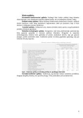 Rinkodara. UAB „Pūkinis avinėlis“ organizacija 4 puslapis