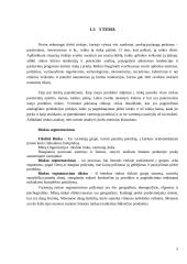 Rinkodara. UAB „Pūkinis avinėlis“ organizacija 5 puslapis