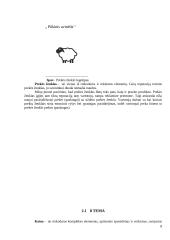 Rinkodara. UAB „Pūkinis avinėlis“ organizacija 8 puslapis