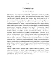 Kepyklos „Pasaka“ verslo planas 13 puslapis