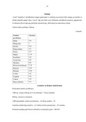 Kepyklos „Pasaka“ verslo planas 14 puslapis