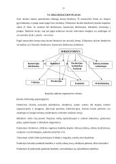 Kepyklos „Pasaka“ verslo planas 17 puslapis