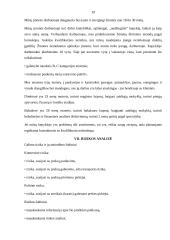 Kepyklos „Pasaka“ verslo planas 19 puslapis