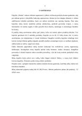 Kepyklos „Pasaka“ verslo planas 4 puslapis